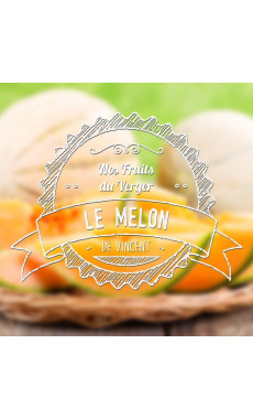 E-liquide Melon 10ml - VDLV