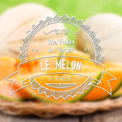 E-liquide Melon 10ml - VDLV