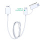 Cable chargeur USB type C / Micro-USB