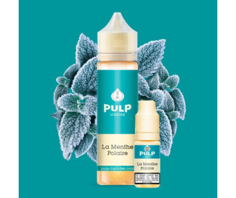 E Liquide Menthe Polaire 60ml - Pulp