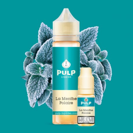 E Liquide Menthe Polaire 60ml - Pulp