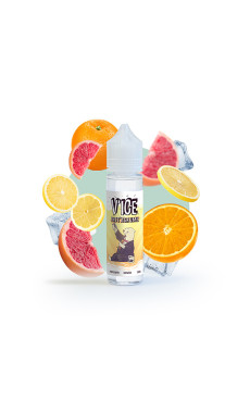 E-Liquide Insta'grume 50ml - V'ICE