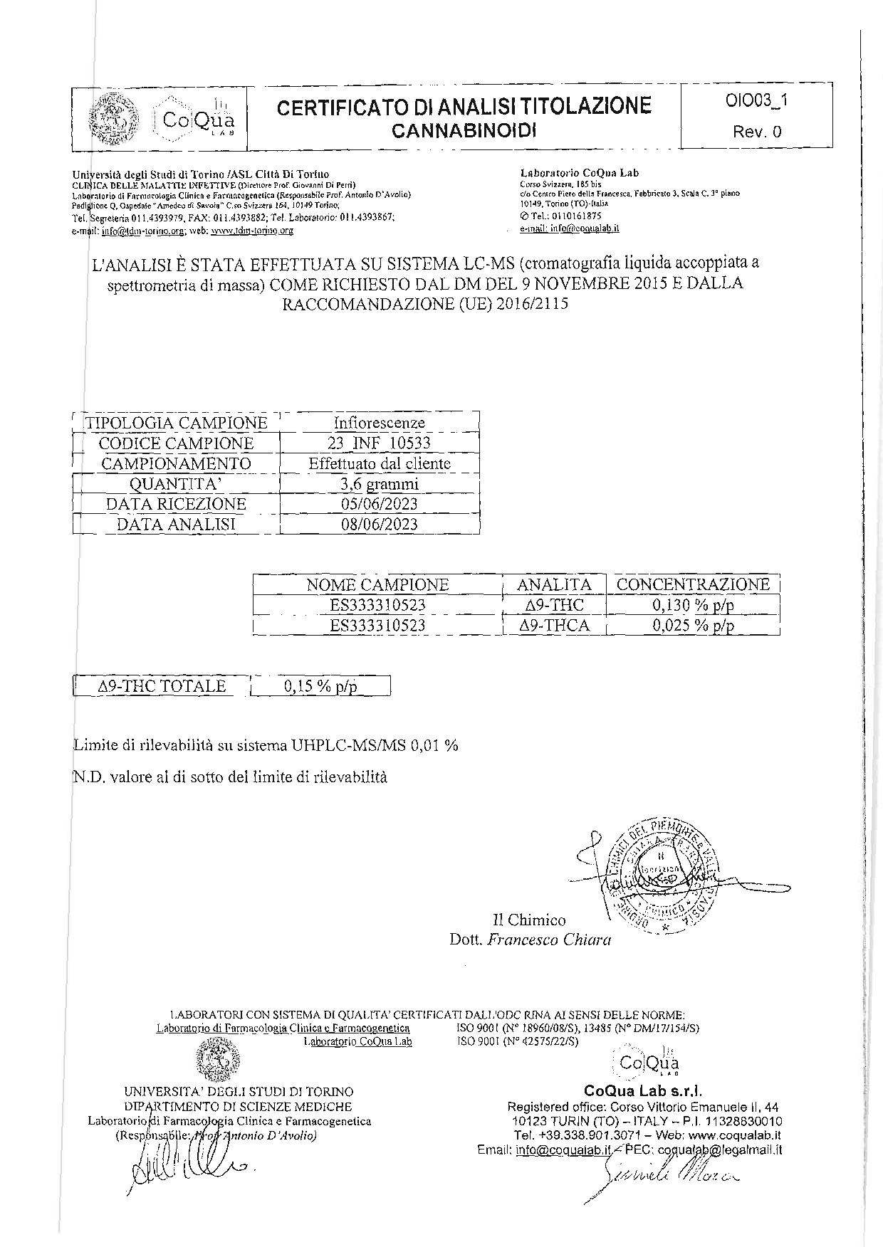 fiche sanitaire Melon Kush